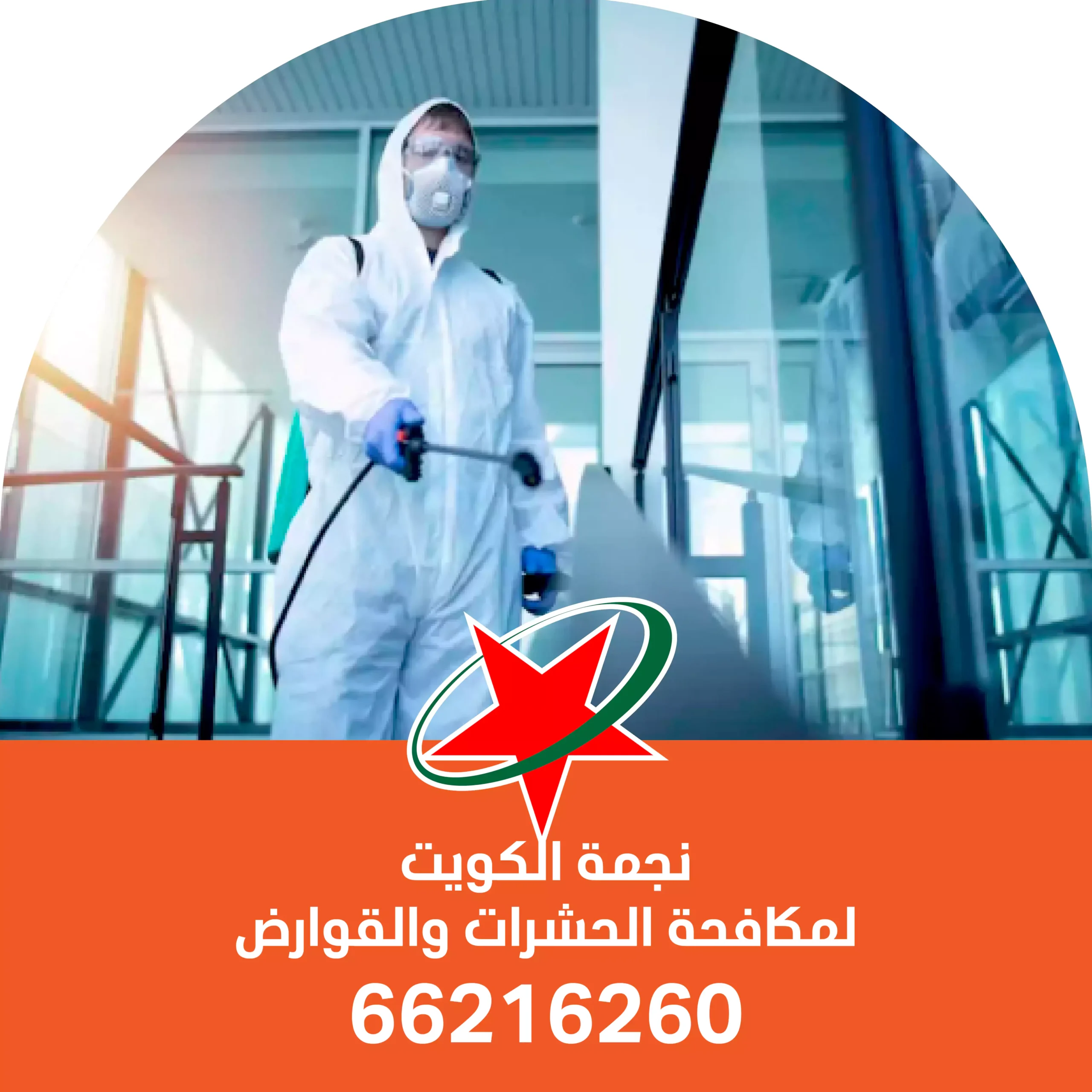 مكافحة الحشرات