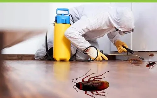 مكافحة الصراصير -99795938