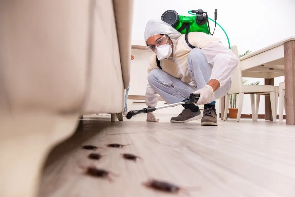 افضل شركة مكافحة حشرات -99795938