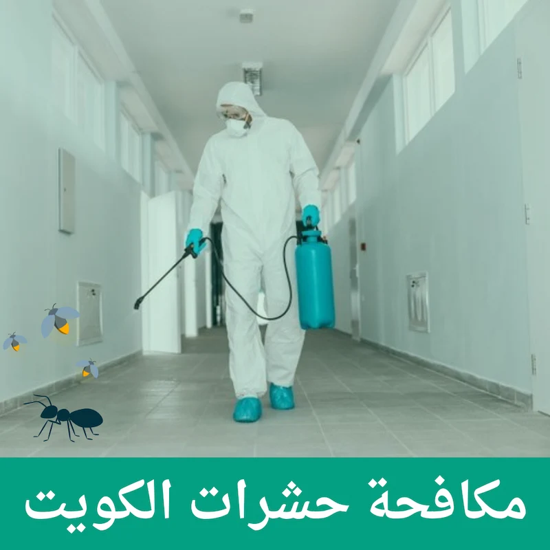 شركة حشرات الكويت -99795938