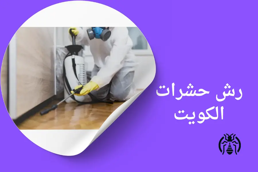شركة رش حشرات الكويت -99795938